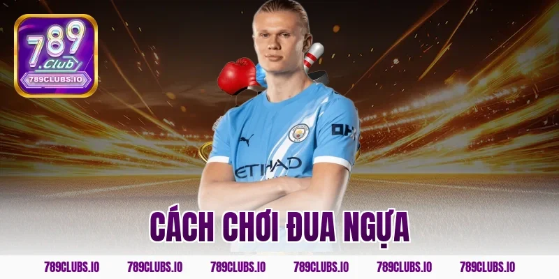 cách chơi đua ngựa