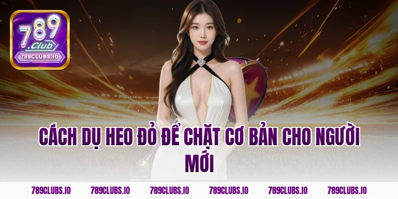 Cách dụ heo đỏ để chặt cơ bản cho người mới