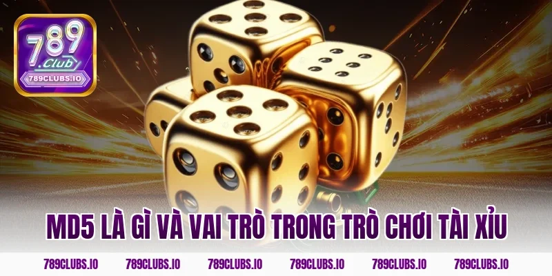 MD5 là gì và vai trò trong trò chơi tài xỉu